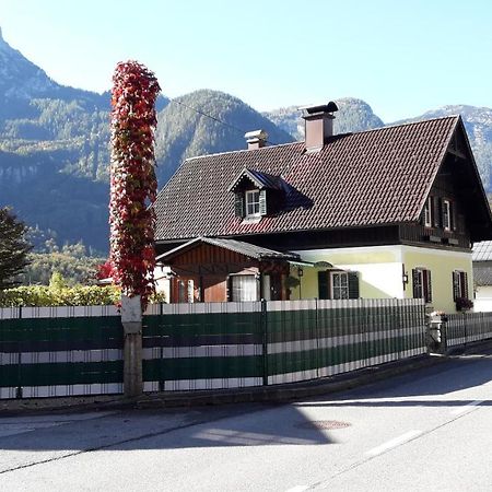 Haus Fratnik Lägenhet Obertraun Exteriör bild