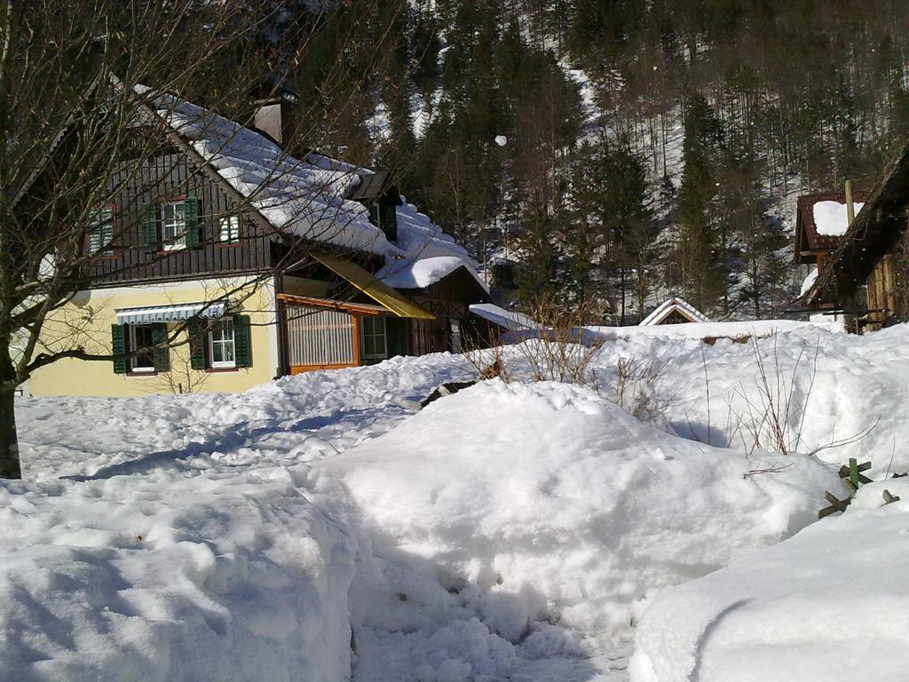 Haus Fratnik Lägenhet Obertraun Exteriör bild